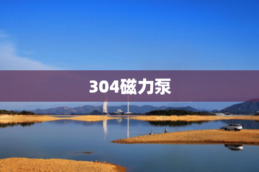 304磁力泵