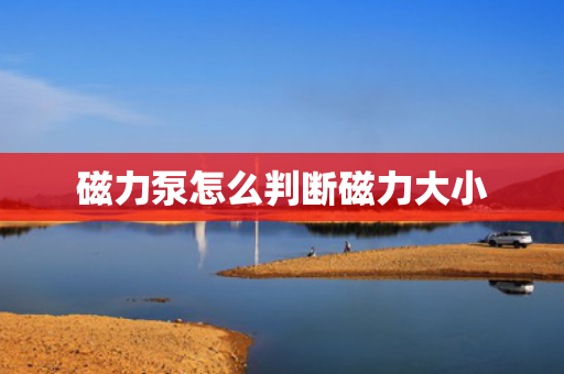 磁力泵怎么判断磁力大小