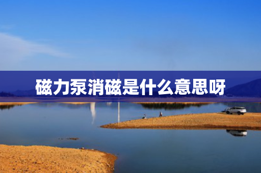 磁力泵消磁是什么意思呀