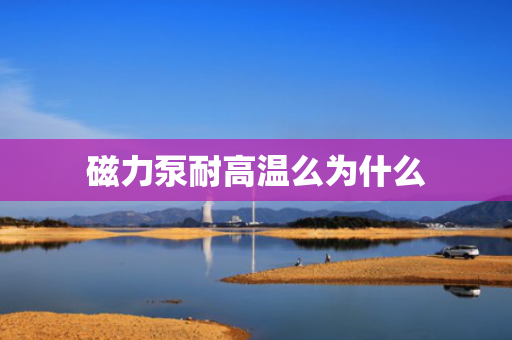 磁力泵耐高温么为什么
