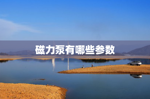 磁力泵有哪些参数