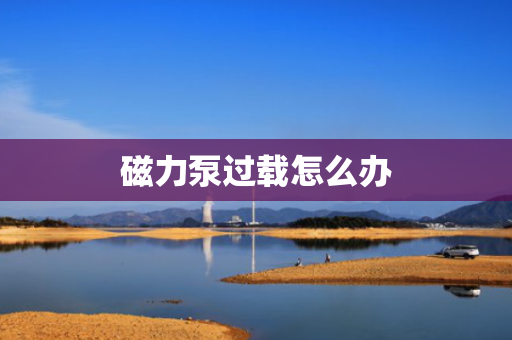 磁力泵过载怎么办