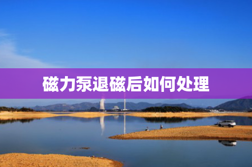 磁力泵退磁后如何处理