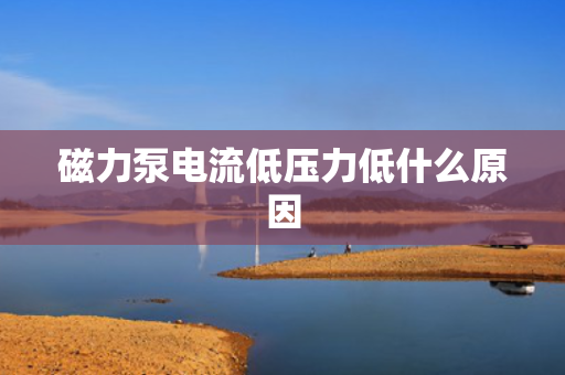 磁力泵电流低压力低什么原因