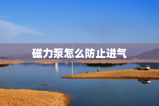 磁力泵怎么防止进气