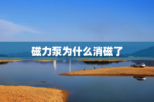 磁力泵为什么消磁了