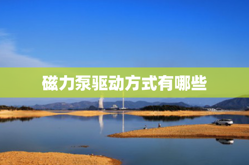 磁力泵驱动方式有哪些