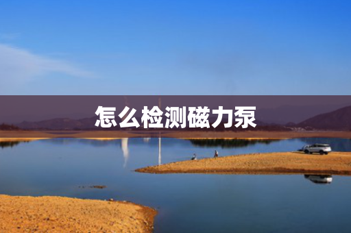 怎么检测磁力泵