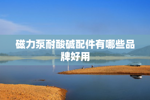 磁力泵耐酸碱配件有哪些品牌好用