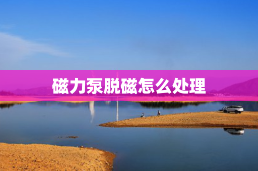 磁力泵脱磁怎么处理