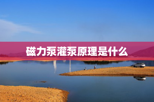 磁力泵灌泵原理是什么