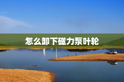 怎么卸下磁力泵叶轮