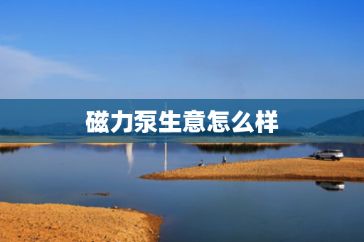 磁力泵生意怎么样