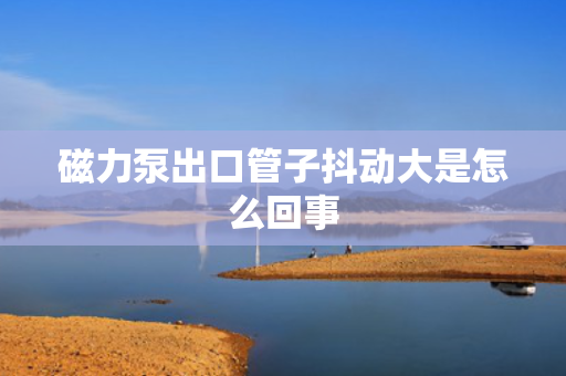 磁力泵出口管子抖动大是怎么回事