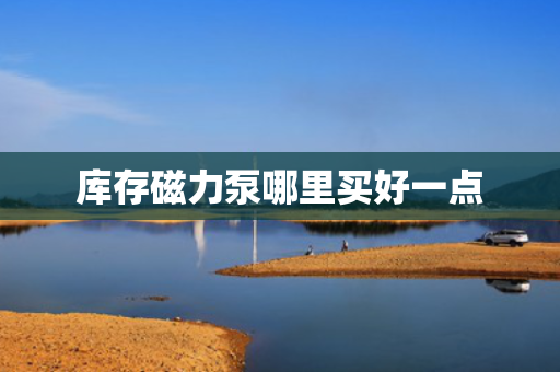 库存磁力泵哪里买好一点