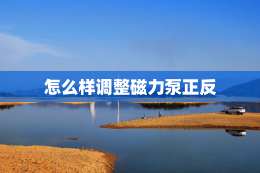 怎么样调整磁力泵正反