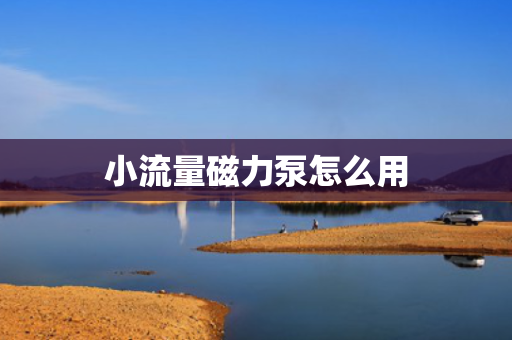 小流量磁力泵怎么用