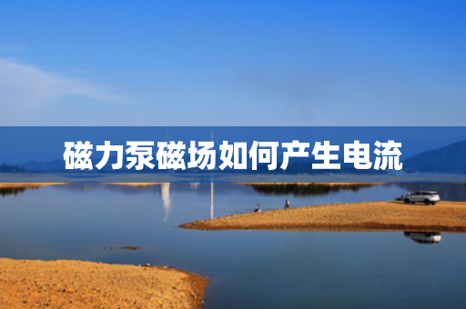磁力泵磁场如何产生电流