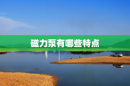 磁力泵有哪些特点