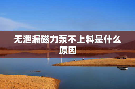 无泄漏磁力泵不上料是什么原因