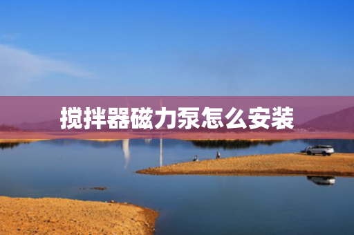 搅拌器磁力泵怎么安装