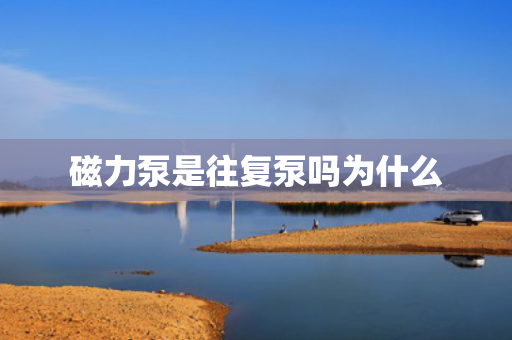 磁力泵是往复泵吗为什么