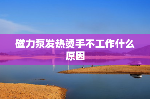 磁力泵发热烫手不工作什么原因
