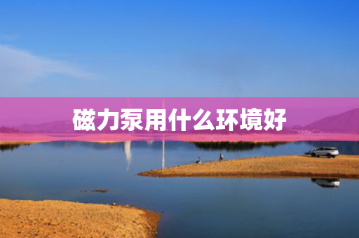 磁力泵用什么环境好