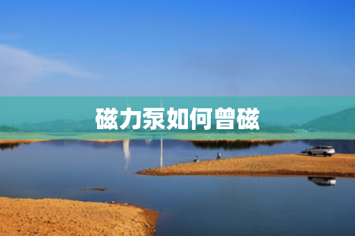 磁力泵如何曾磁