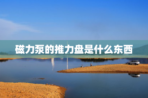 磁力泵的推力盘是什么东西