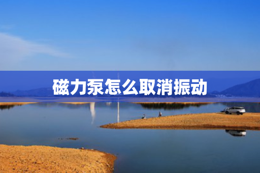 磁力泵怎么取消振动