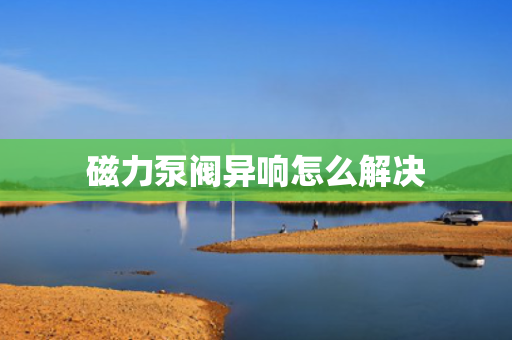 磁力泵阀异响怎么解决