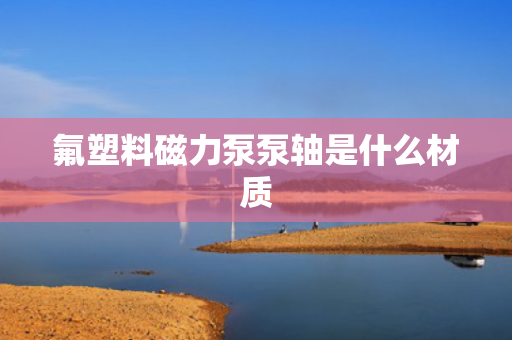氟塑料磁力泵泵轴是什么材质