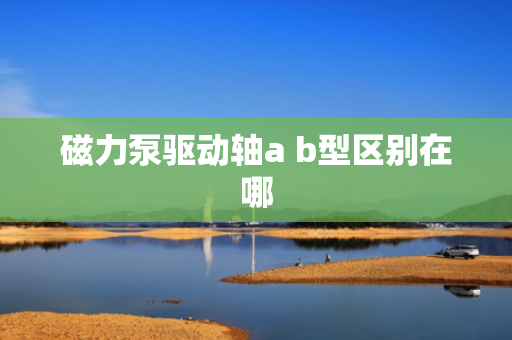 磁力泵驱动轴a b型区别在哪
