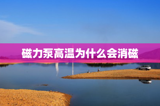 磁力泵高温为什么会消磁