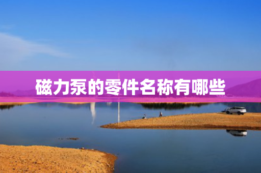 磁力泵的零件名称有哪些