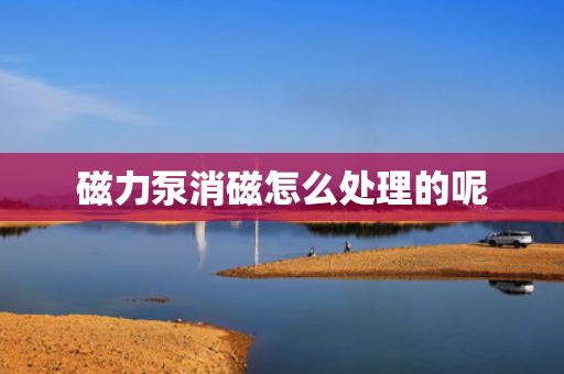 磁力泵消磁怎么处理的呢