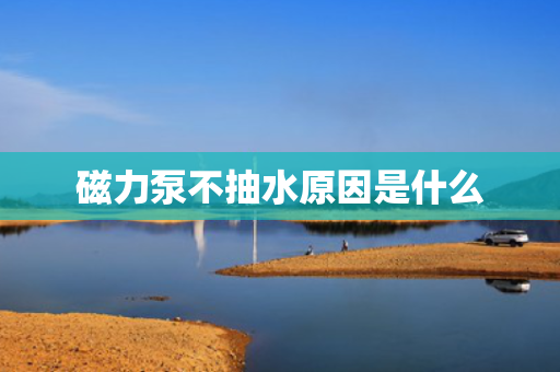 磁力泵不抽水原因是什么