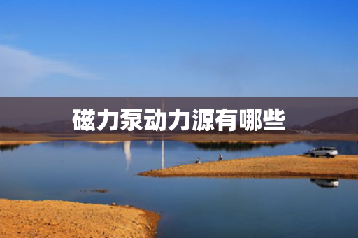 磁力泵动力源有哪些