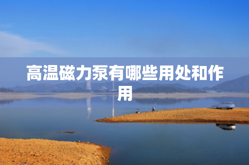 高温磁力泵有哪些用处和作用