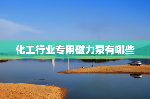 化工行业专用磁力泵有哪些