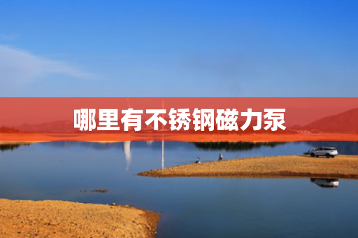 哪里有不锈钢磁力泵