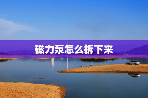 磁力泵怎么拆下来