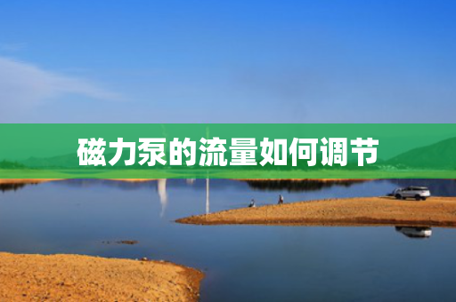 磁力泵的流量如何调节