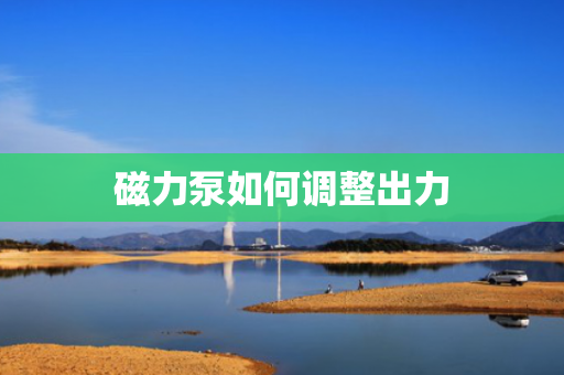 磁力泵如何调整出力