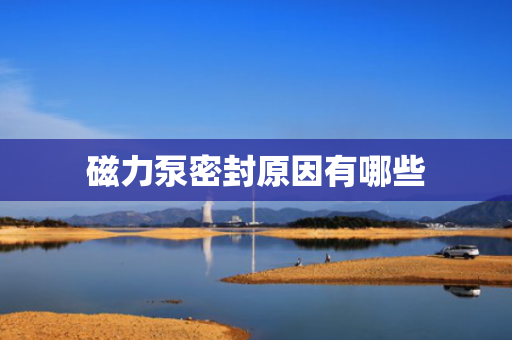 磁力泵密封原因有哪些