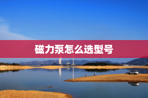 磁力泵怎么选型号