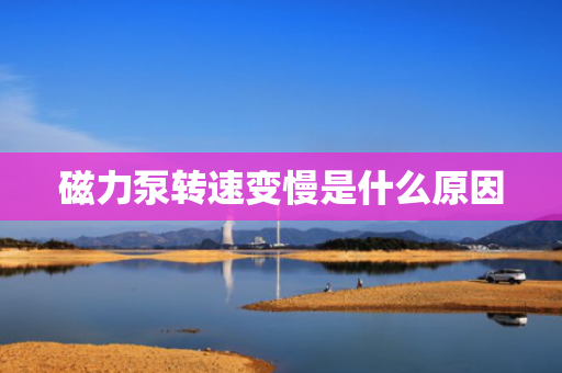 磁力泵转速变慢是什么原因
