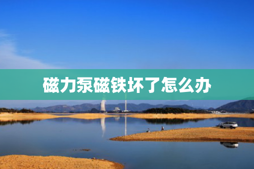 磁力泵磁铁坏了怎么办