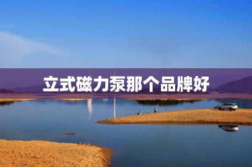 立式磁力泵那个品牌好